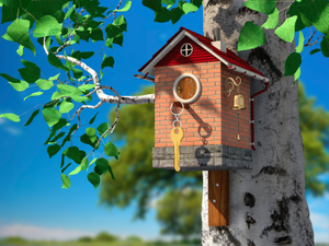 Bird house example for cost accounting basics
